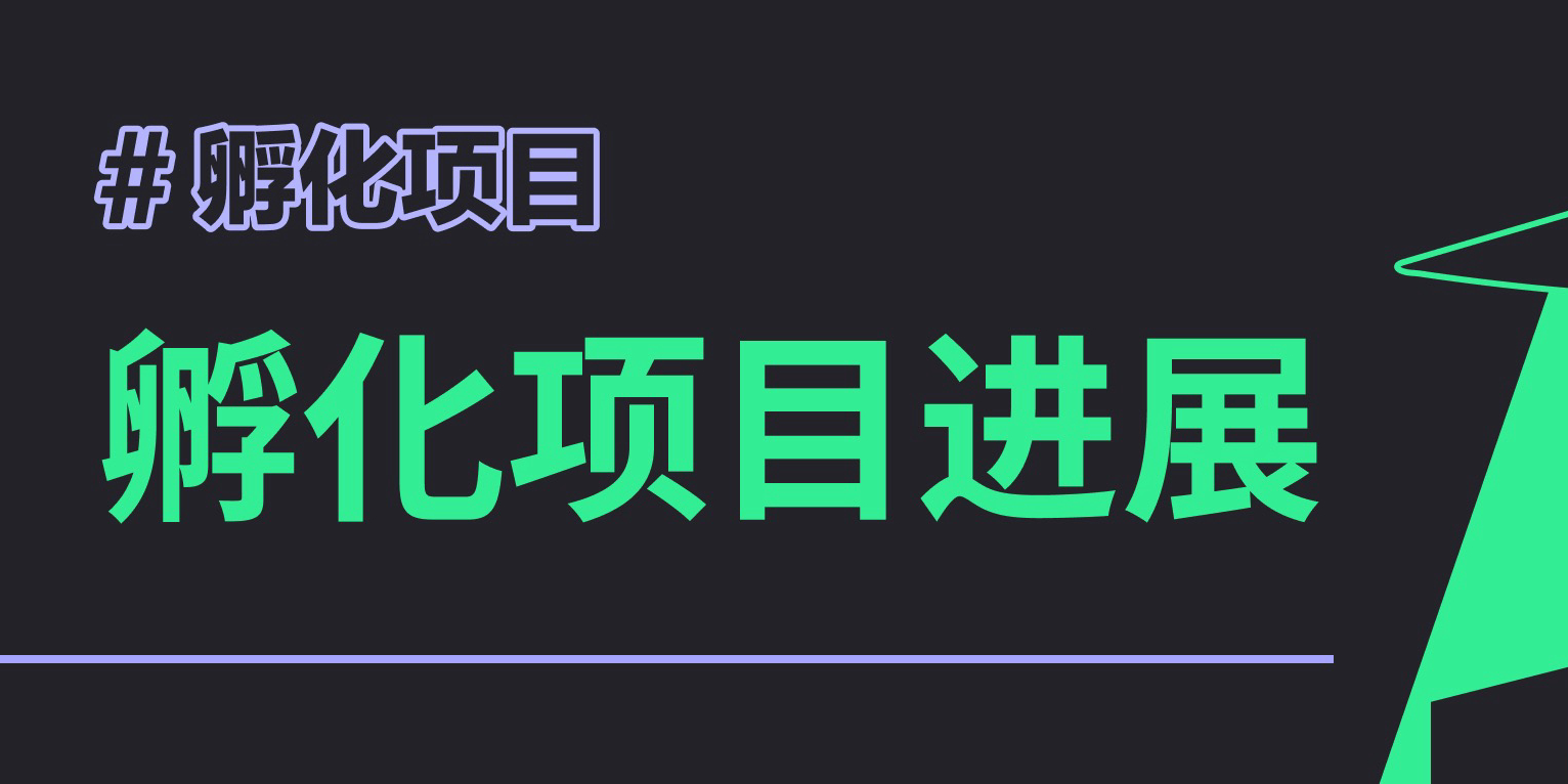 Buidler Dao 孵化项目进度公示 22 7 14 Buidler Dao